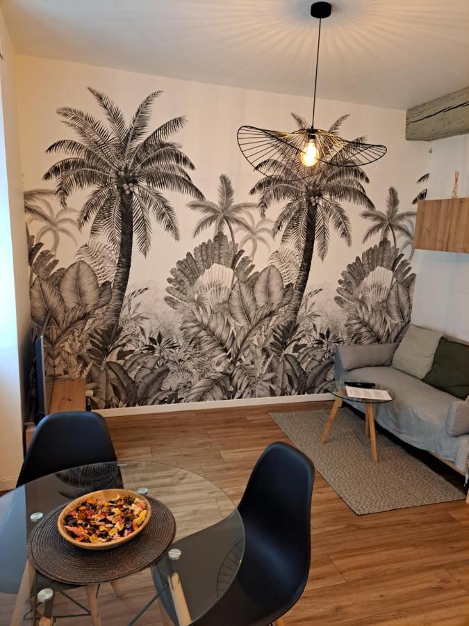 Ferienwohnung Echappee Belle En Plein Coeur D Auxerre Exterior foto